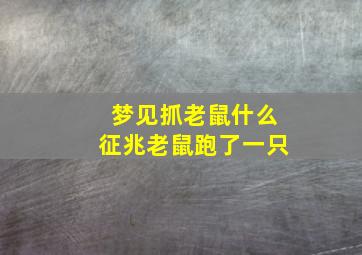 梦见抓老鼠什么征兆老鼠跑了一只