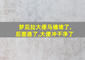 梦见拉大便马桶堵了,后面通了,大便冲干净了