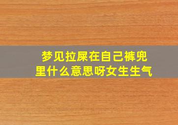 梦见拉屎在自己裤兜里什么意思呀女生生气