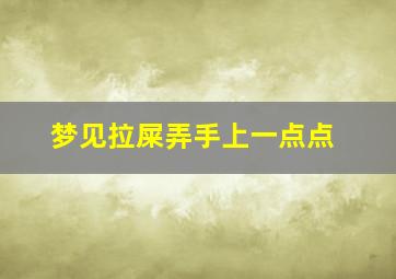 梦见拉屎弄手上一点点