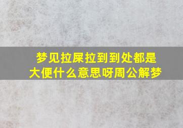 梦见拉屎拉到到处都是大便什么意思呀周公解梦