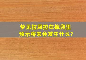 梦见拉屎拉在裤兜里预示将来会发生什么?