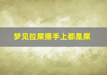 梦见拉屎擦手上都是屎