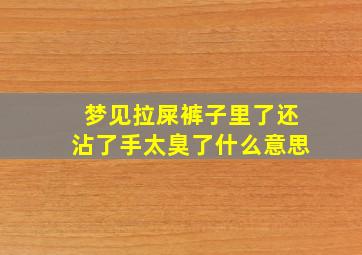 梦见拉屎裤子里了还沾了手太臭了什么意思