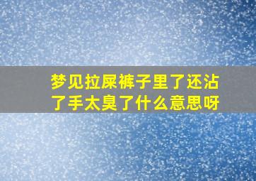 梦见拉屎裤子里了还沾了手太臭了什么意思呀