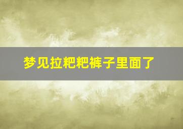 梦见拉粑粑裤子里面了