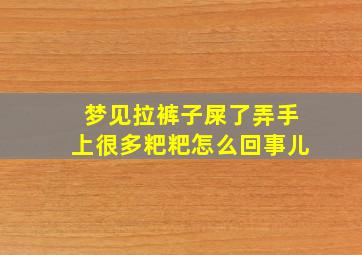 梦见拉裤子屎了弄手上很多粑粑怎么回事儿