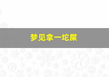 梦见拿一坨屎