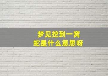 梦见挖到一窝蛇是什么意思呀