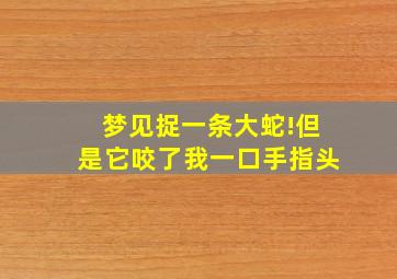 梦见捉一条大蛇!但是它咬了我一口手指头