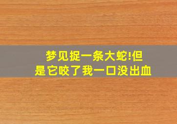 梦见捉一条大蛇!但是它咬了我一口没出血