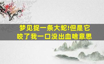 梦见捉一条大蛇!但是它咬了我一口没出血啥意思