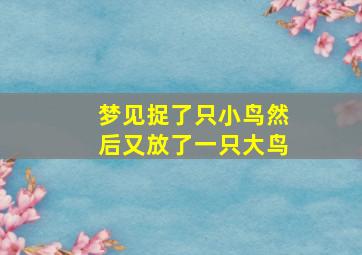 梦见捉了只小鸟然后又放了一只大鸟