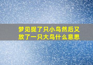 梦见捉了只小鸟然后又放了一只大鸟什么意思