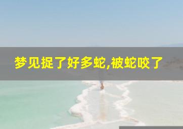 梦见捉了好多蛇,被蛇咬了