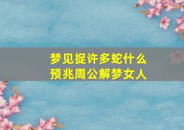 梦见捉许多蛇什么预兆周公解梦女人