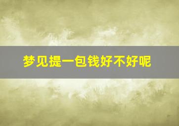 梦见提一包钱好不好呢