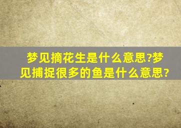 梦见摘花生是什么意思?梦见捕捉很多的鱼是什么意思?