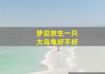 梦见放生一只大乌龟好不好