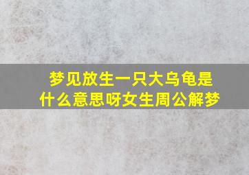 梦见放生一只大乌龟是什么意思呀女生周公解梦