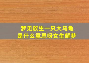 梦见放生一只大乌龟是什么意思呀女生解梦