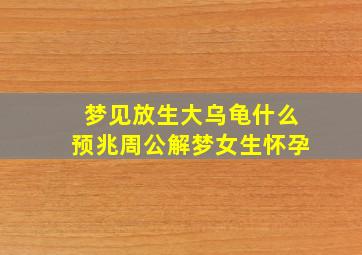 梦见放生大乌龟什么预兆周公解梦女生怀孕