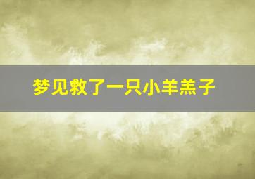 梦见救了一只小羊羔子