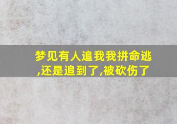 梦见有人追我我拼命逃,还是追到了,被砍伤了