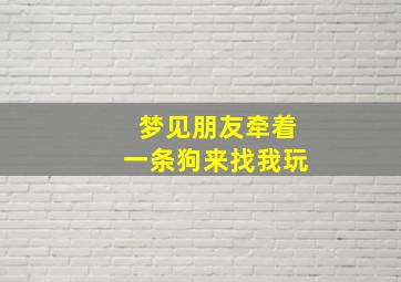 梦见朋友牵着一条狗来找我玩