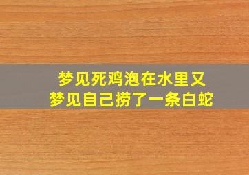 梦见死鸡泡在水里又梦见自己捞了一条白蛇