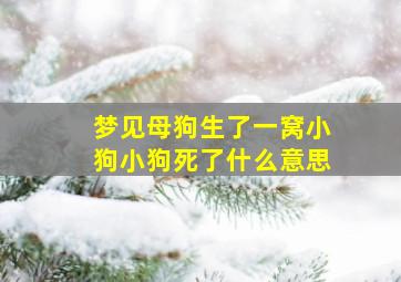 梦见母狗生了一窝小狗小狗死了什么意思