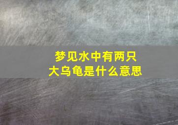 梦见水中有两只大乌龟是什么意思