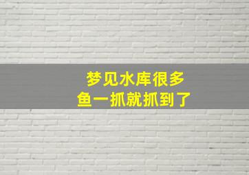 梦见水库很多鱼一抓就抓到了