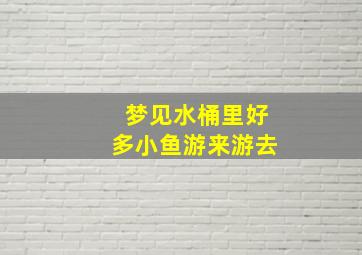 梦见水桶里好多小鱼游来游去