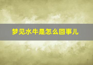 梦见水牛是怎么回事儿