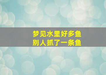 梦见水里好多鱼别人抓了一条鱼