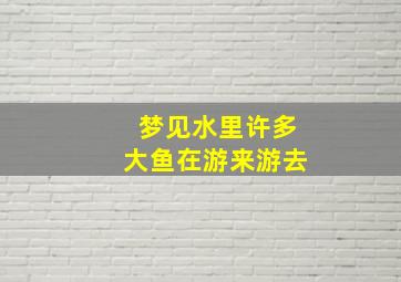 梦见水里许多大鱼在游来游去