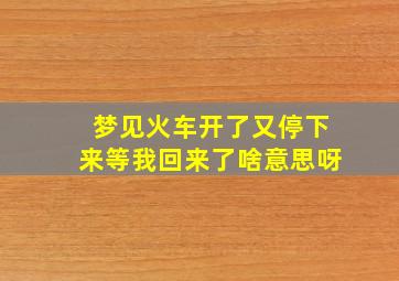 梦见火车开了又停下来等我回来了啥意思呀