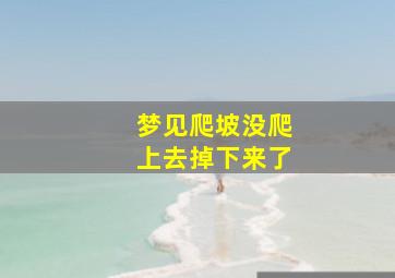 梦见爬坡没爬上去掉下来了