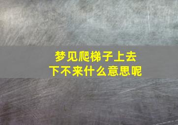 梦见爬梯子上去下不来什么意思呢