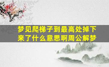 梦见爬梯子到最高处掉下来了什么意思啊周公解梦