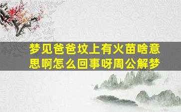 梦见爸爸坟上有火苗啥意思啊怎么回事呀周公解梦