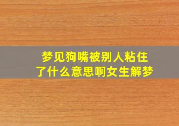 梦见狗嘴被别人粘住了什么意思啊女生解梦