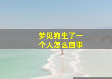 梦见狗生了一个人怎么回事