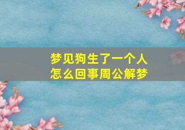 梦见狗生了一个人怎么回事周公解梦