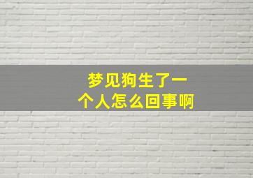 梦见狗生了一个人怎么回事啊