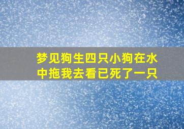 梦见狗生四只小狗在水中拖我去看已死了一只