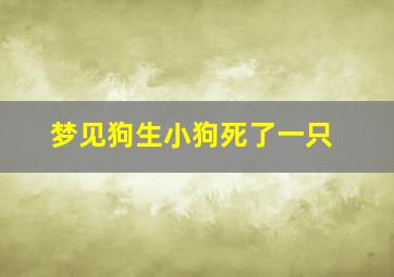 梦见狗生小狗死了一只