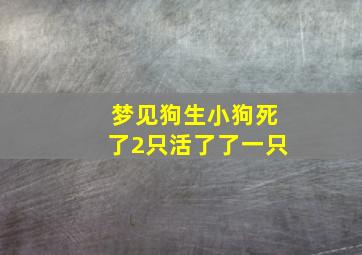 梦见狗生小狗死了2只活了了一只