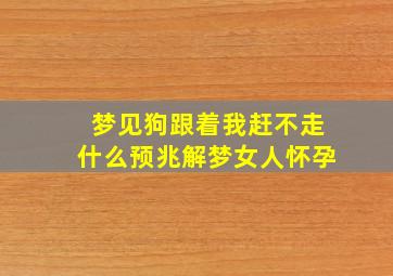 梦见狗跟着我赶不走什么预兆解梦女人怀孕